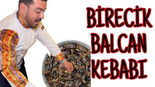 Birecik balcan kebabı yedik [upl. by Arney]