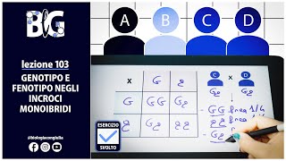GENOTIPO e FENOTIPO negli INCROCI MONOIBRIDI  Esercizi di GENETICA [upl. by Sollows]