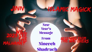 Occult View of 2023 Interview with Nineveh Shadrach  the Jinn influence on human events [upl. by Thorley512]