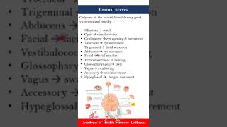 Cranial Nerves  Anatomy  by Imran Yaseen [upl. by Jacobsen887]