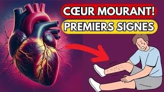 8 Signes révélateurs qui montrent létat de votre cœur ⚠️ [upl. by Amund]