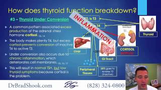 Natural Support for Hashimotos and Low Thyroid Conditions  Dr Brad Shook [upl. by Elisabet]