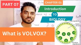 What is Volvox Biology Class 9th  Introduction to Biology by Sir Ramesh Bheel [upl. by Mechling640]