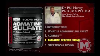 What is Agmatine Sulfate Used  Agmatine Sulfate Supplement Benefits [upl. by Buschi500]