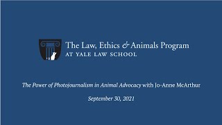 The Power of Photojournalism in Animal Advocacy with JoAnne McArthur [upl. by Rednaskela]