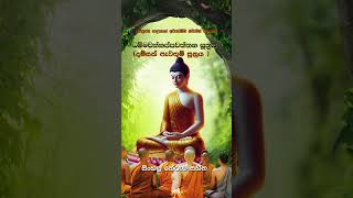 Dhammachakkappawaththana suttaධම්මචක්කප්පවත්තන සුත්තංdamsak Pawathum Suttraya සිංහල තේරුම සහිත [upl. by Quigley575]