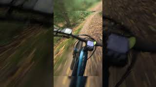 Danbury common bluebell run on the ebike in the mud [upl. by Garwin662]