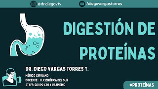 Bioquímica  Digestión y absorción de carbohidratos [upl. by Arbmik969]