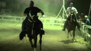 Standardbred Horse Pacing Classes [upl. by Eziechiele]