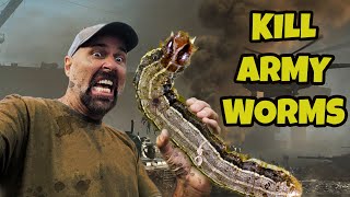 HOW TO KILL ARMY WORMS [upl. by Inaffyt]