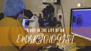 A Day in the Life of an Embryologist [upl. by Niloc]