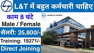 LampT Recruitment 2024  LampT Job vacancy 2024  Private company job vacancy 2024  Jobvalley [upl. by Vani]