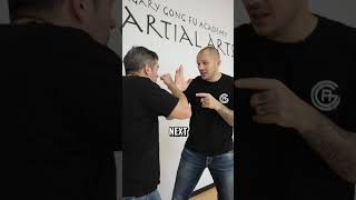 Boxing vs Wing Chun Which one wins [upl. by Aelam]