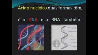 MÚSICA ÁCIDOS NUCLEICOS dna rna música biologia [upl. by Nytsirhc]