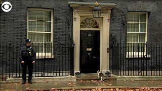 WEB EXTRA Police Officer Helps Larry The Downing Street Cat [upl. by Africah]