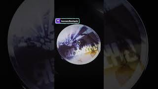 Shadow Of Memories drumandbass edm music twitch dj vinyl viral [upl. by Halac]