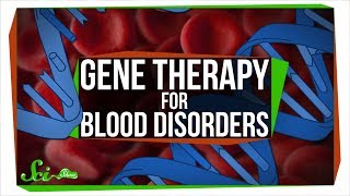 Changing DNA in a Cell With No DNA Gene Therapy for Blood Disorders [upl. by Annaynek]