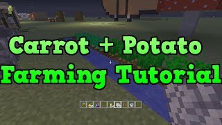 Minecraft Xbox 360  PS3 Potato and Carrot Farming Tutorial [upl. by Clayton]