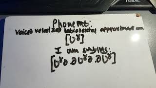 Phone ʋˠ voiced velarized labiodental approximant consonant [upl. by Hernardo]