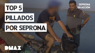 Los mejores momentos del Seprona  Seprona en acción [upl. by Eillor852]