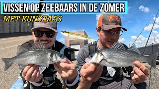 VISSEN OP ZEEBAARS MET KUNSTAAS IN DE ZOMER [upl. by Avir680]