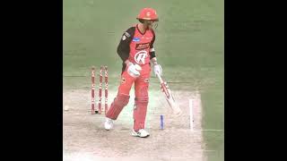 Sandeep lamichhane🏆 T20Worldcupipl bowling cricket sandeeplamichhane nepalcricket shortsvideo [upl. by Egas72]