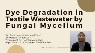 Dye Degradation in Textile Wastewater by Fungal Mycelium [upl. by Alfred]