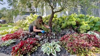 Planting Coneflower amp Trimming Hosta amp Heuchera Garden Hangout A Solar Fountain From Michelle [upl. by Elkin]