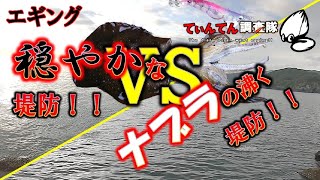 【秋エギング】穏やかな堤防！！ VS ナブラの沸く堤防！！初心者必見 [upl. by Estis223]