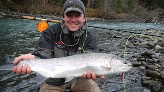 BC Steelhead Fly Fishing  Skeena River British Columbia [upl. by Drucilla]