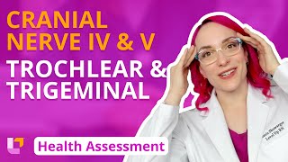 Cranial Nerve IV amp V Trochlear amp Trigeminal  Health Assessment for Nursing Students  LevelUpRN [upl. by Malo]