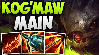 CHALLENGER KOGMAW MAIN AMAZING ADC GAMEPLAY  CHALLENGER KOGMAW ADC  Patch 1414 S14 [upl. by Hamlin]