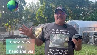 Astronaut and friend Nik Hellic gifts a Baby Aldabra tortoise to his two nieces [upl. by Vitkun]