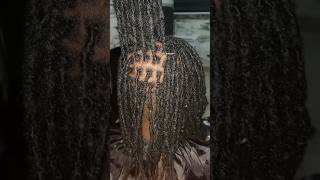 Locsdreads maintenance dreadslocks dreadlocs locs dreads shorts [upl. by Cirted908]