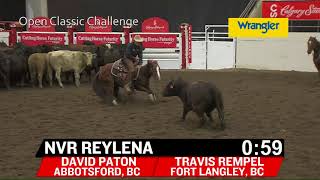 NVR Reylena  2017 Calgary Stampede Cutting Horse Futurity  Open Classic Champion [upl. by Olrac]