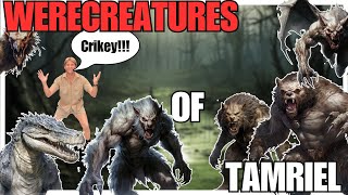 LYCANTHROPY in The Elder Scrolls Explained  The Elder Scrolls Lore [upl. by Petrick]