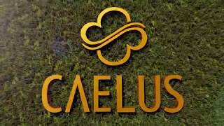 CAELUS BSD CITY SINARMASLAND [upl. by Dnalra]