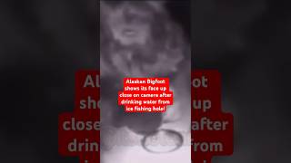 Alaskan Bigfoot Shows its Face Up Close on Camera After Drinking Water From Ice Fishing Hole [upl. by Rudin]