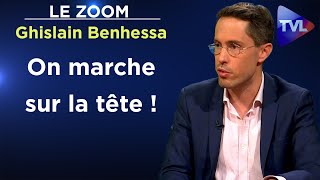 Nous devons réapprendre la désobéissance  Le Zoom  Ghislain Benhessa  TVL [upl. by Corinne738]