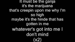 EminemMust be the ganja Lyrics [upl. by Seaman228]