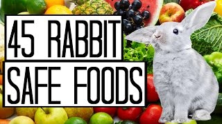 45 Rabbit Safe Foods [upl. by Yllet]