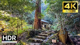 Kyoto Walk  Kuramayama  Kurama Okunoin 鞍馬山 奥の院 4K HDR [upl. by Aerdno]