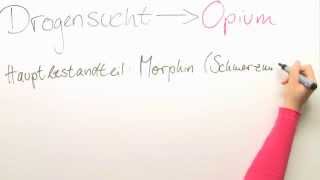 Drogensucht Opium  Biologie  Neurobiologie [upl. by Paz]