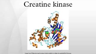 Creatine kinase [upl. by Enoob950]