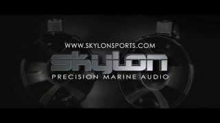 Introducing The Skylon Vector 8 Wakeboard Tower Speakers [upl. by Leber791]