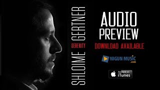 Shloime Gertner  Audio Preview  Serenity [upl. by Annehsat981]