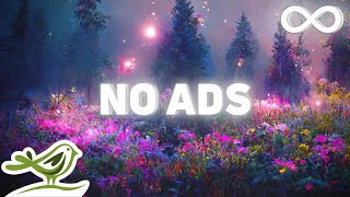 NO ADS Warm Embrace 8 Hours of Relaxing Sleep Music with Dreamy Photos [upl. by Adnawat]