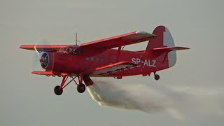 Leszno Antidotum Airshow 2022 Highlights [upl. by Darnoc]