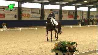 Lynne Maas  Salo Lichte tour KNHS Indoor Kampioenschap 2013 [upl. by Anallise982]