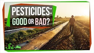 How Safe Are Pesticides Really [upl. by Christmas186]